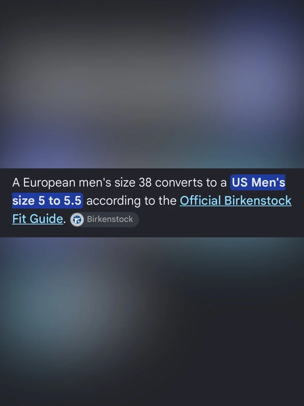 Birkenstock •brand •type
